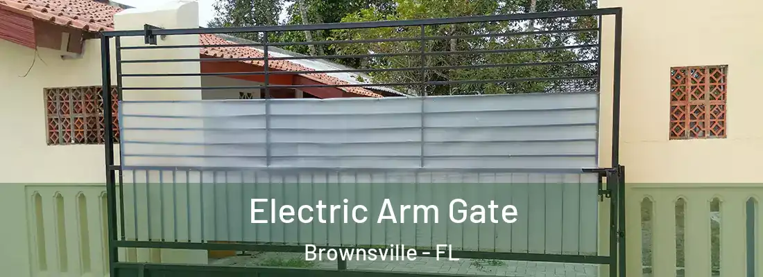 Electric Arm Gate Brownsville - FL