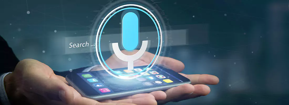 Enhance Security with Voice Recognition Access Systems in Brownsville, FL