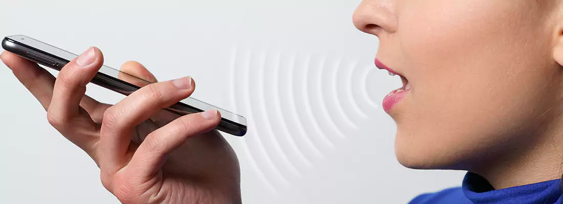 Residential and Commercial Voice Recognition Access Solutions in Brownsville, FL