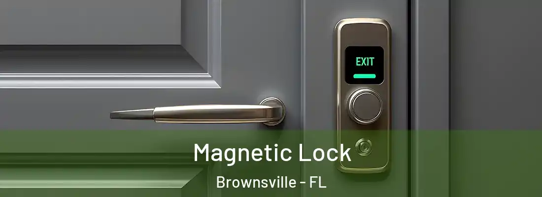 Magnetic Lock Brownsville - FL